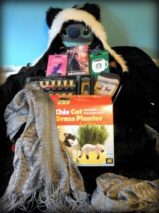 Of course Stitch wasn't part of the haul, but he is modeling my new panda hat/scarf for you.