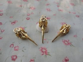 beautyyourlifebirdskull